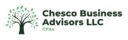 Chesco Business Advisors LLC